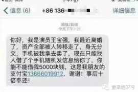 安平为什么选择专业追讨公司来处理您的债务纠纷？